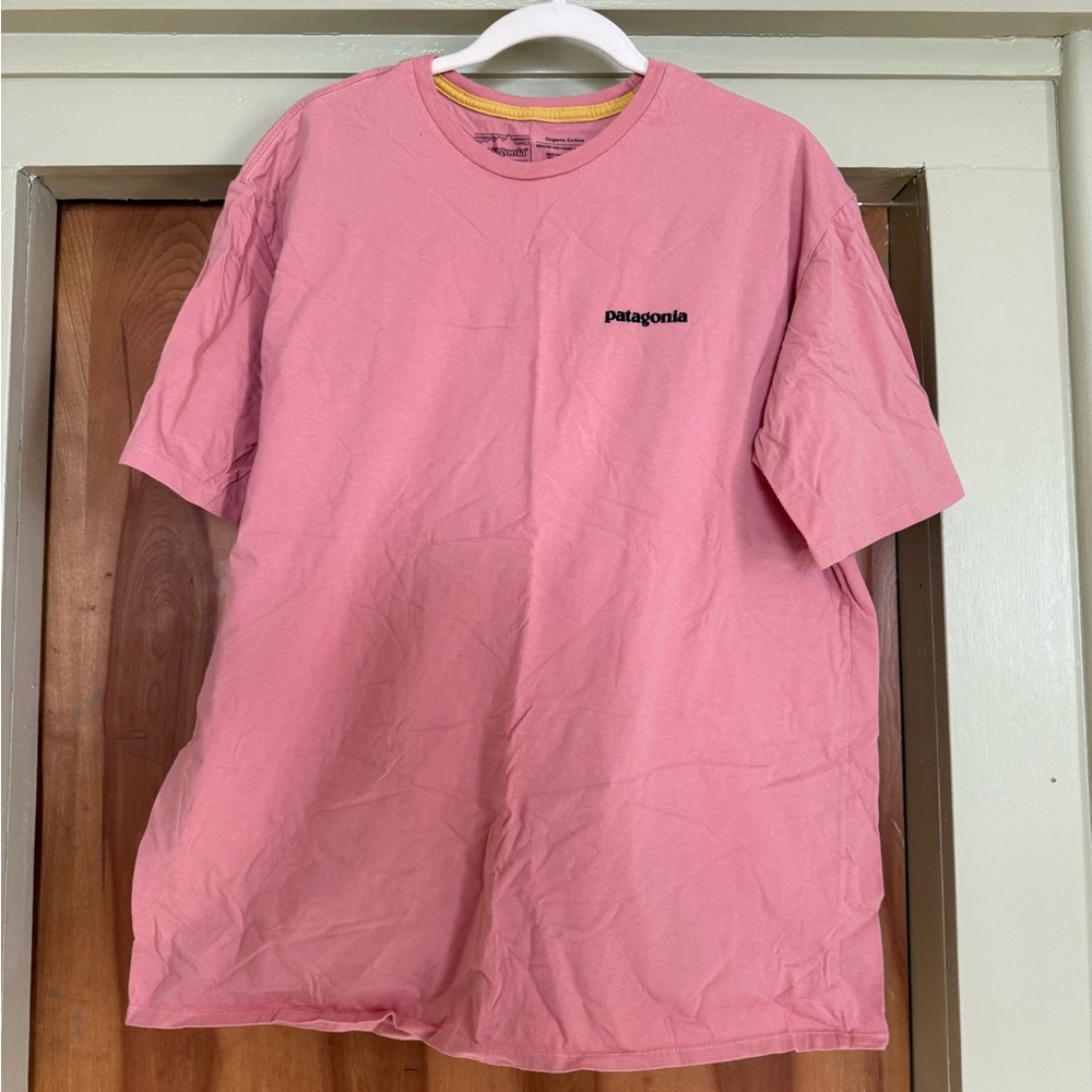 Patagonia Men's Short Sleeve Tee in Pink